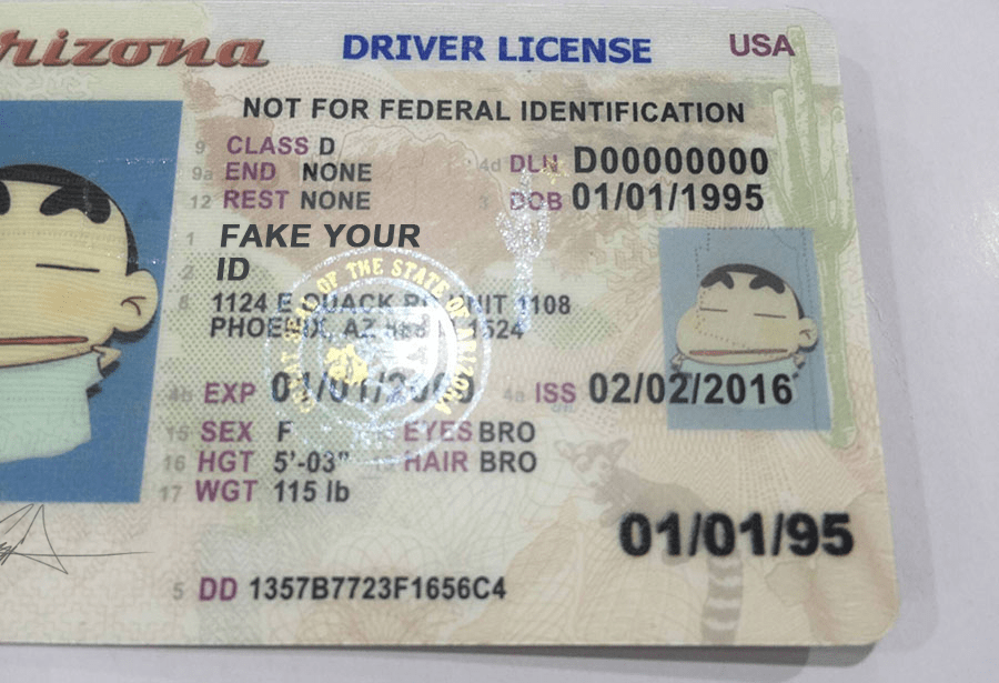 How To Make A Fake Maryland Drivers License