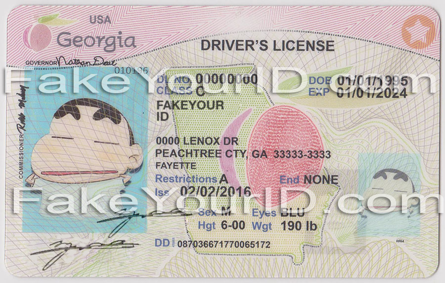font on georgia drivers license