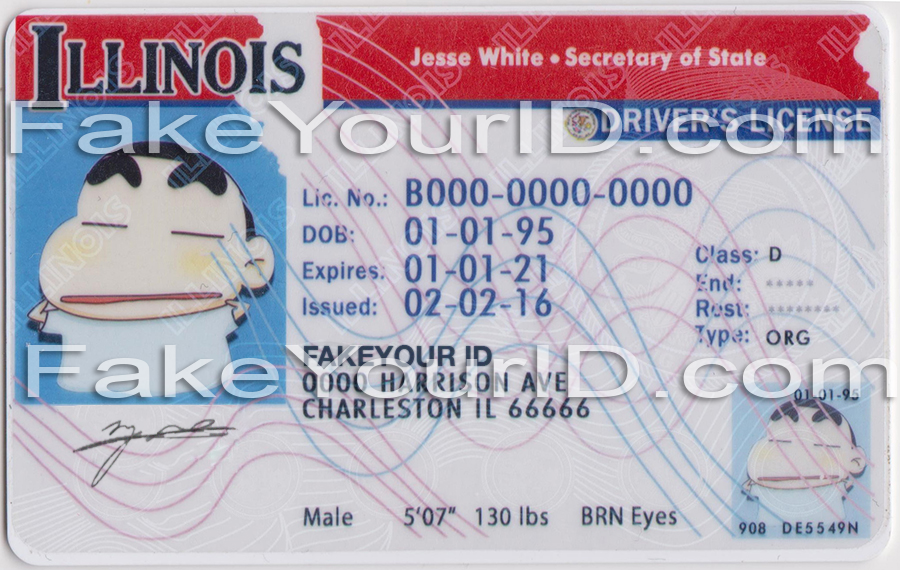 drivers license validation check illinois