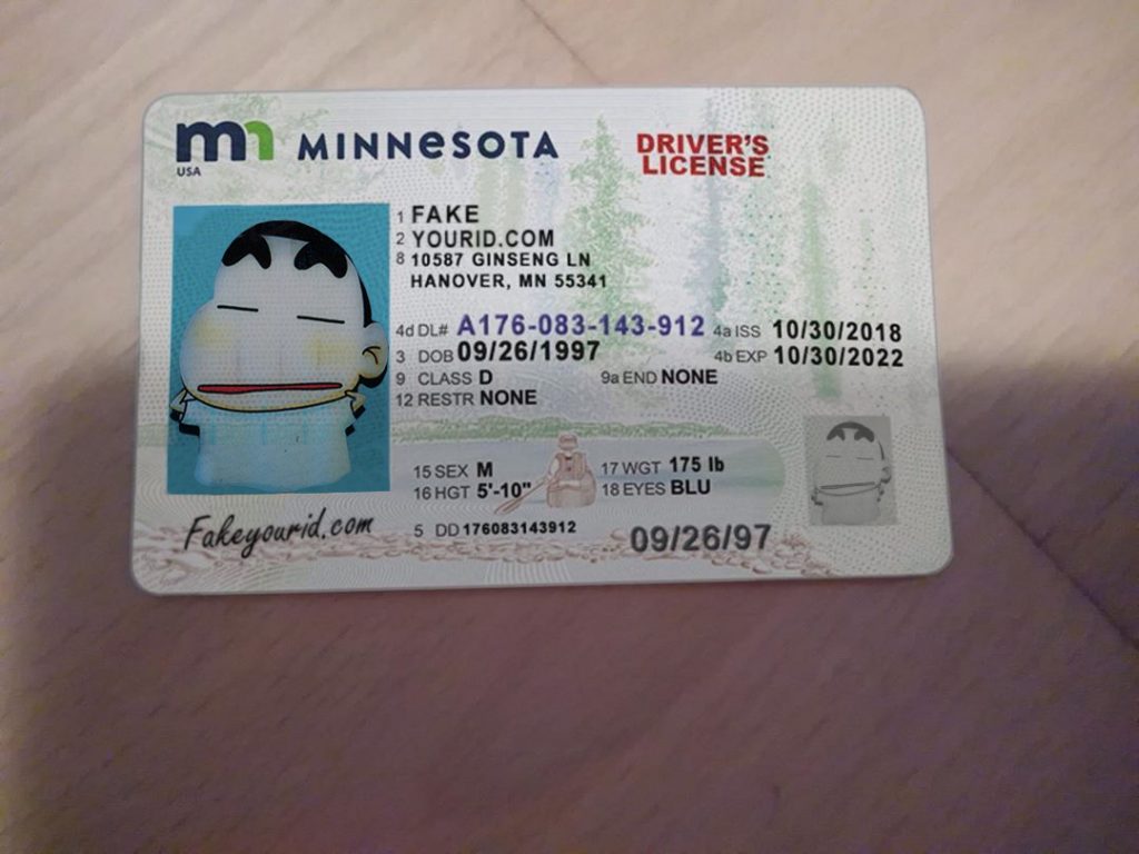 Minnesota drivers license template