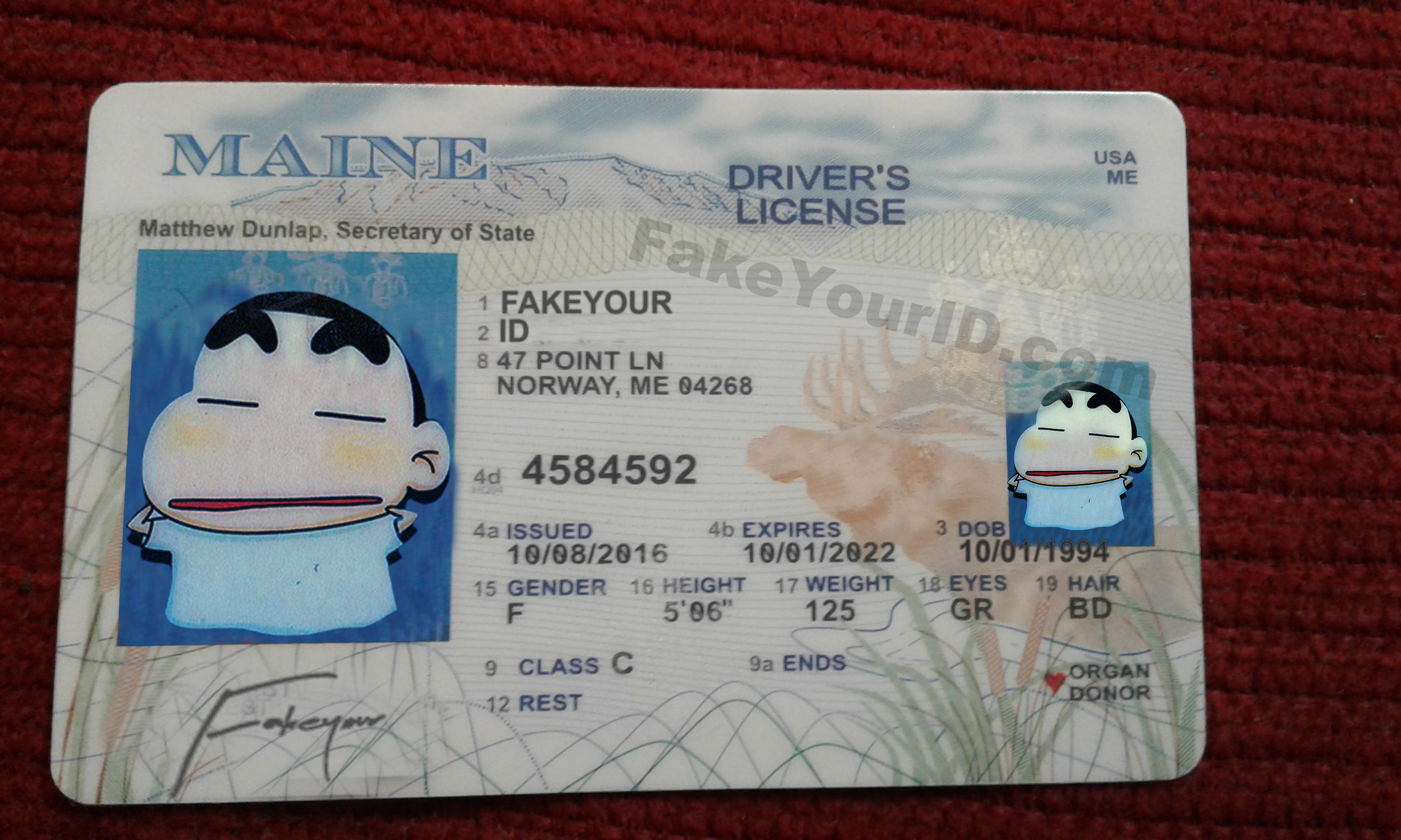 Me driver. Maine Driver License. Me Driver License. Драйвер лицензия Maine. Фейк водительское удостоверение для РОБЛОКСА.