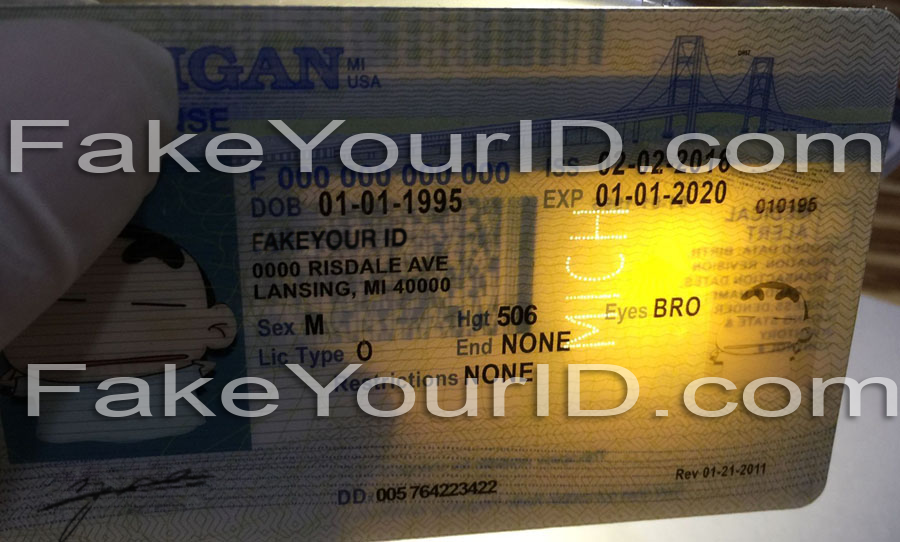 Michigan drivers license security features