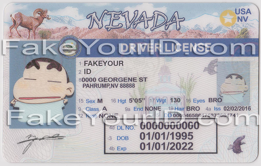 editable nevada drivers license template