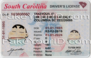 Drivers License Hologram Overlay in South Carolina