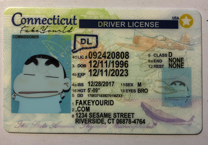 drivers license format ct