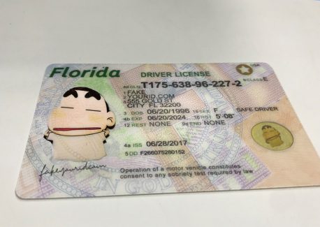 florida drivers license security features