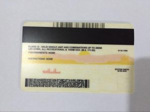 Minnesota - Buy Scannable Fake ID - We Make Premium Fake IDs