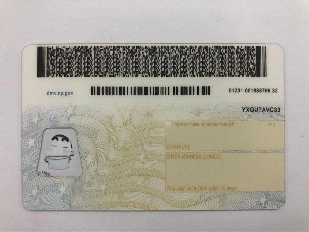 Id 19344252. New York ID Card. Driver License New York back. NY Driver License back. New York State Driver License.