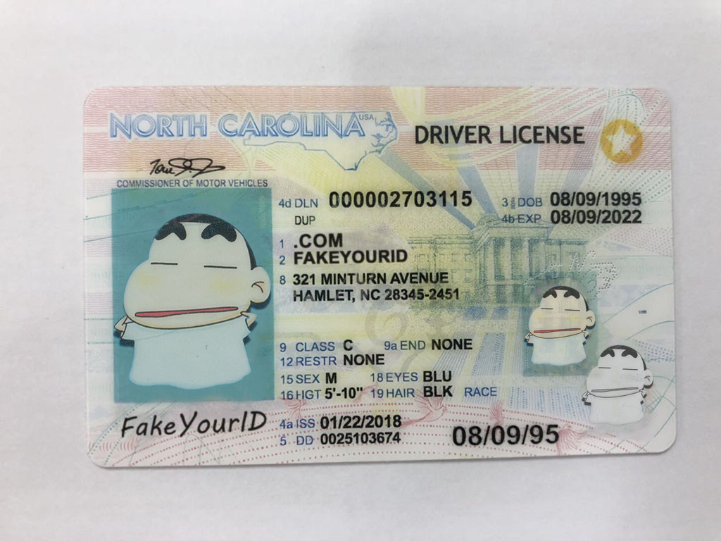 fake nc drivers license template