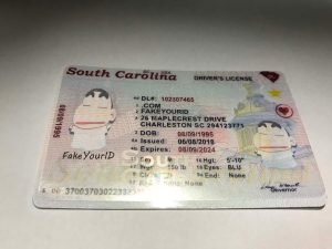 How to spot a fake south carolina drivers license renewal