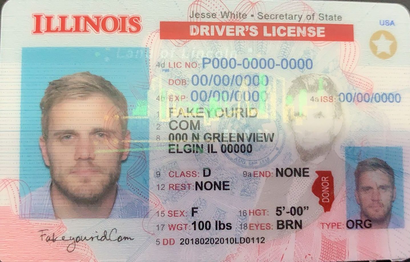 Illinois - Buy Scannable Fake ID - We Make Premium Fake IDs